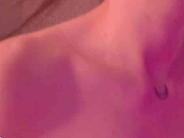 catromance webcam