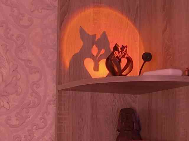 catromance webcam