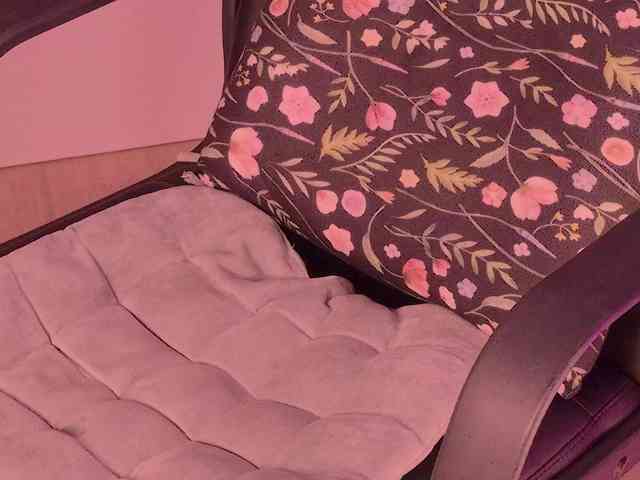 catromance webcam