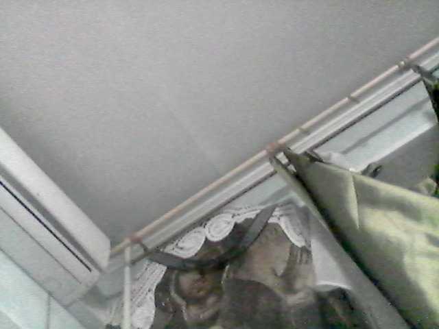 Euphoria222 — bongacams