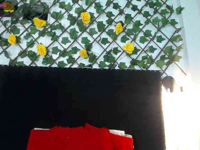 vmiajonsonper webcam