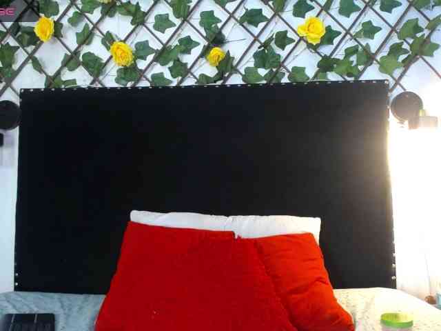 vmiajonsonper webcam