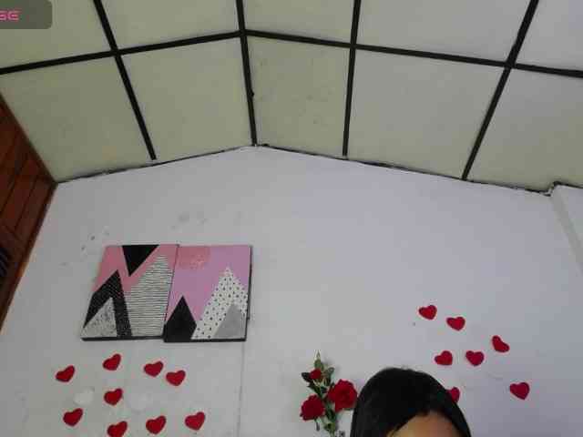 vmiajonsonper webcam