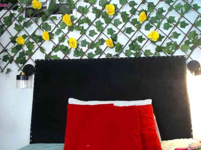 vmiajonsonper webcam