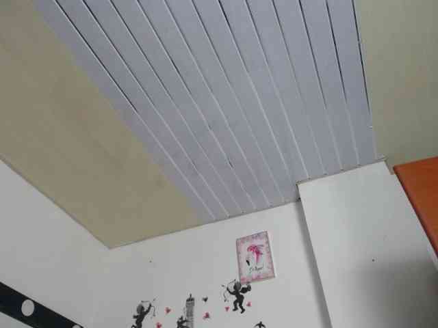 vauroracooper webcam