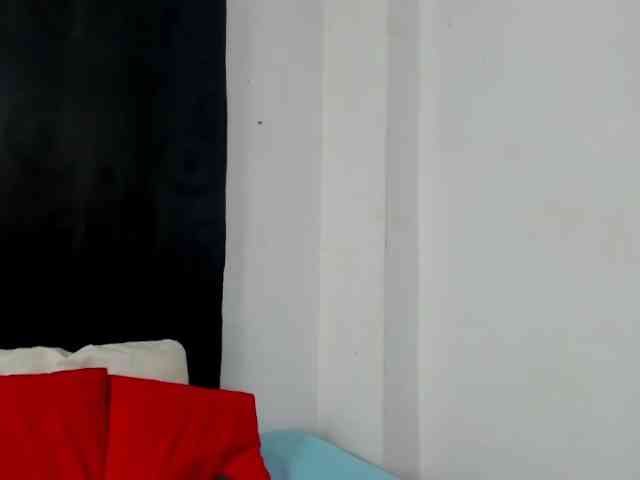 vauroracooper webcam