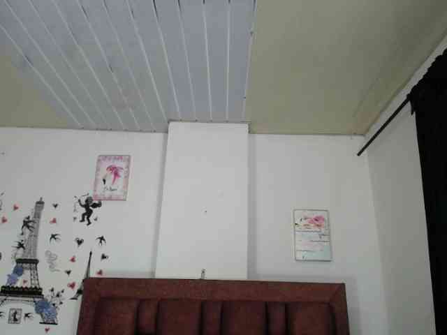 vauroracooper webcam