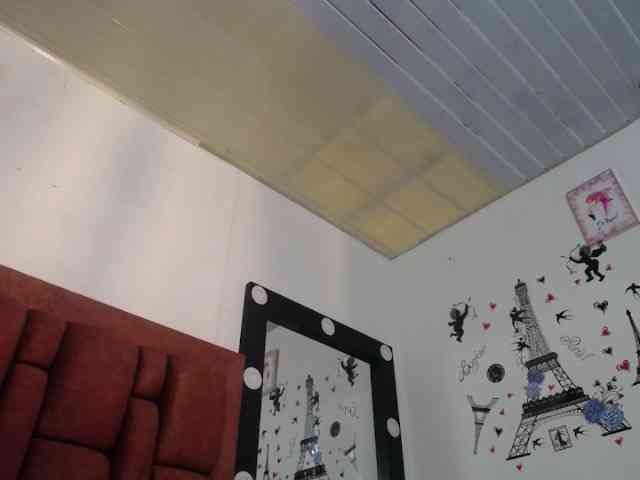 vauroracooper webcam