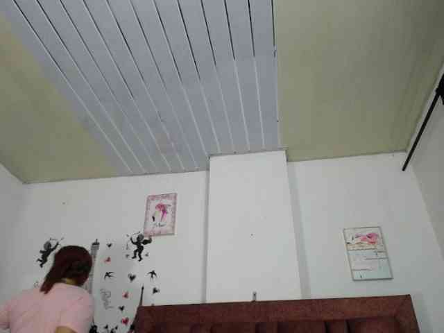 vauroracooper webcam