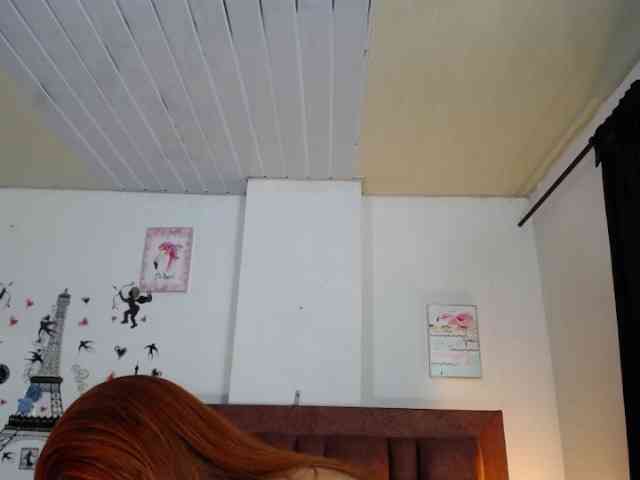 vauroracooper webcam