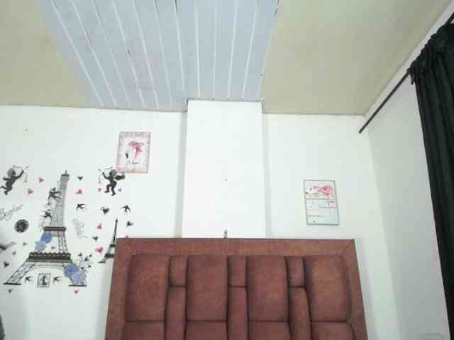 vauroracooper webcam