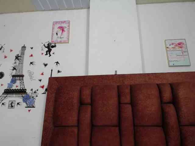 vauroracooper webcam