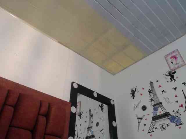 vauroracooper webcam