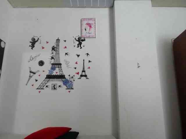 vauroracooper webcam