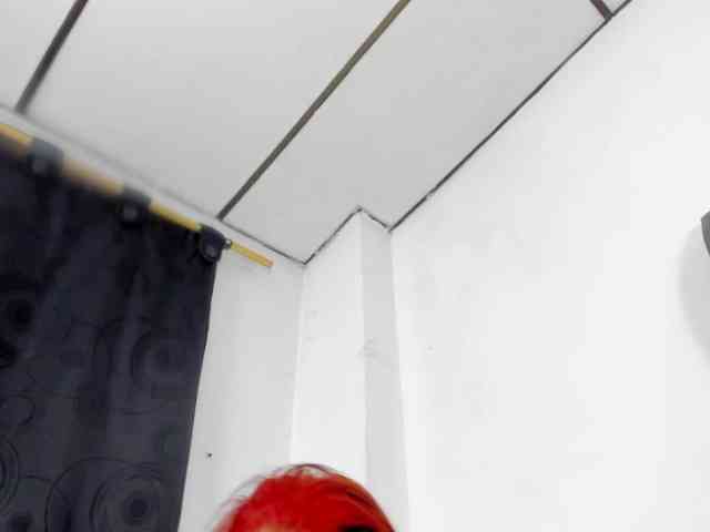 vauroracooper webcam