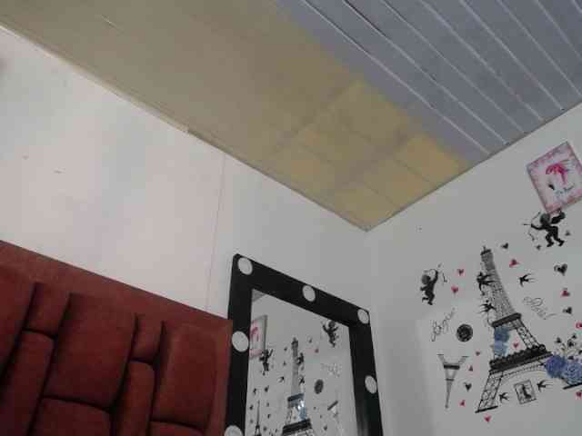 vauroracooper webcam