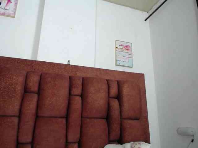 vauroracooper webcam