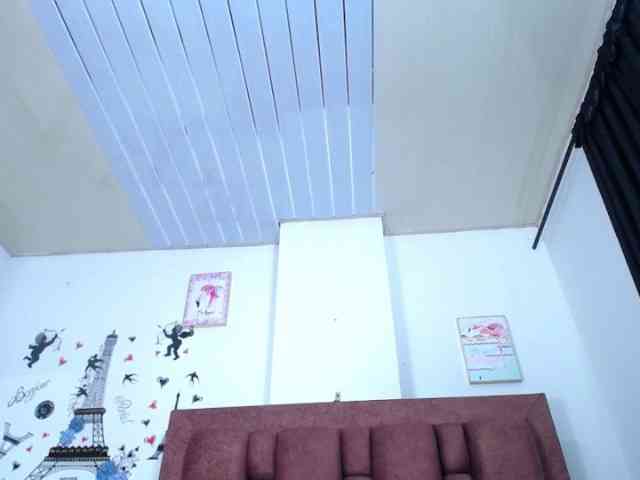 vauroracooper webcam