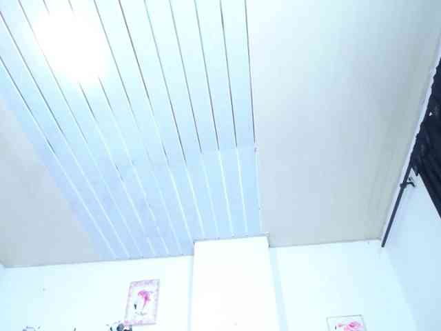 vauroracooper webcam