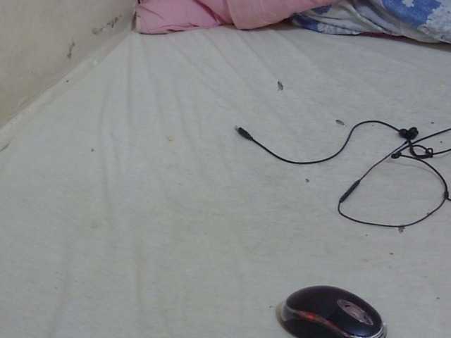 Preview of cuteavril