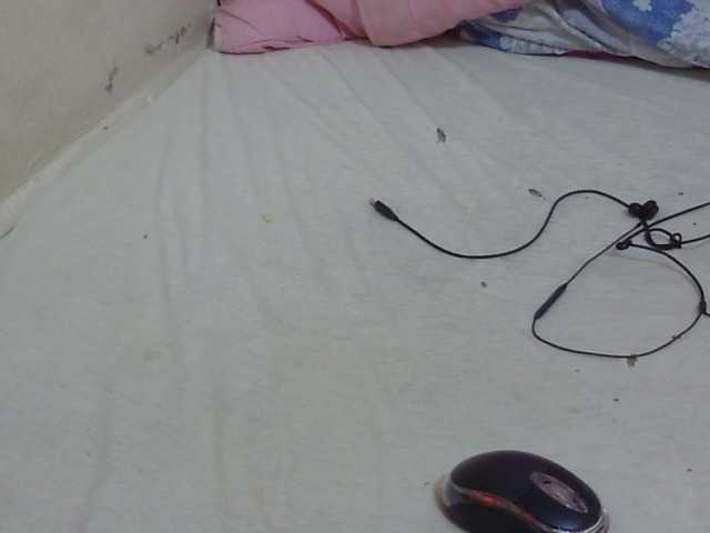 Preview of cuteavril