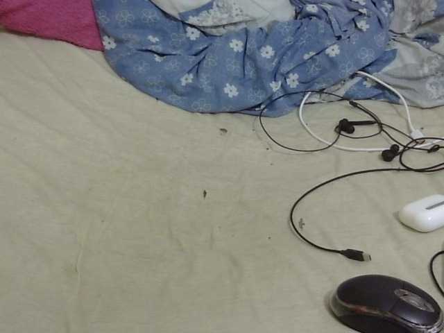 Preview of cuteavril