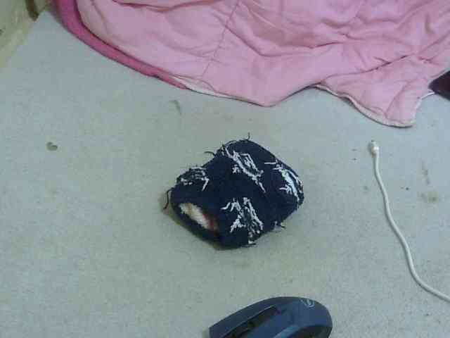 Cuteavril webcam