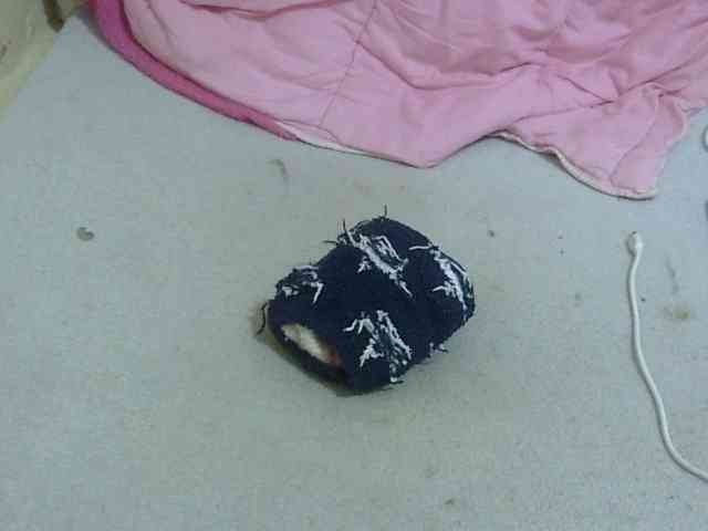 Cuteavril webcam