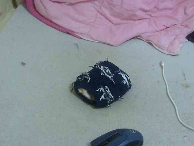 Cuteavril webcam