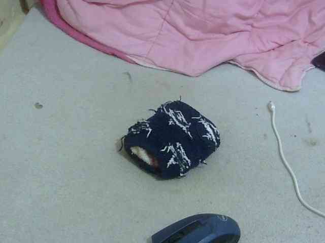 Cuteavril webcam