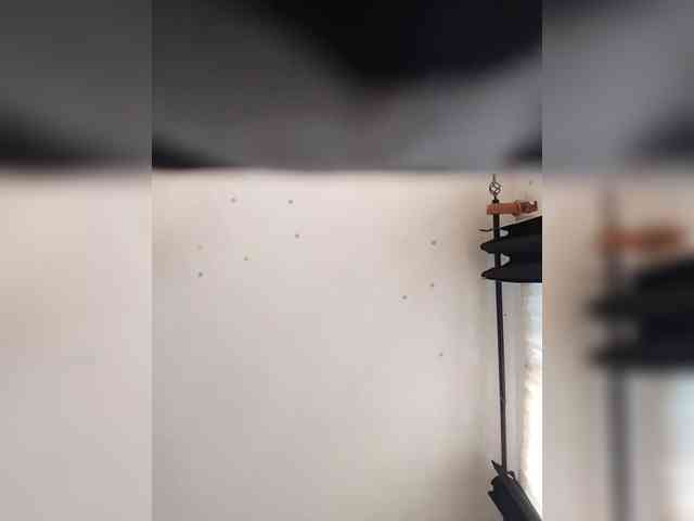 Nasty-cocker Nasty-cocker