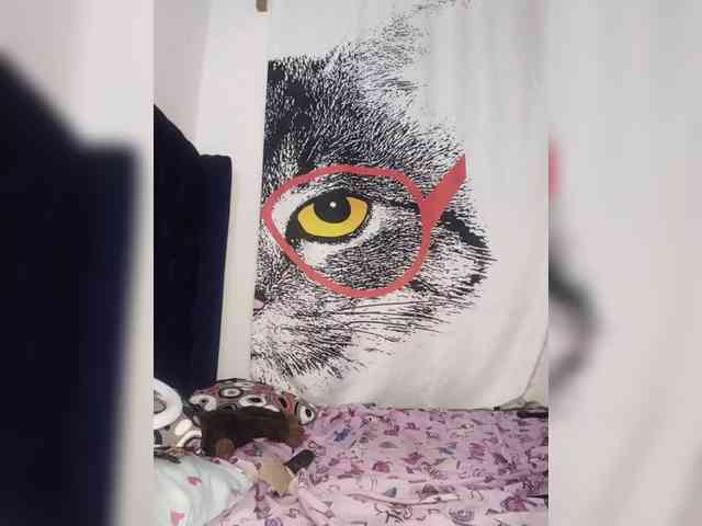 Nasty-cocker webcam