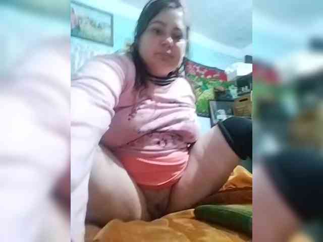 Delia100a webcam