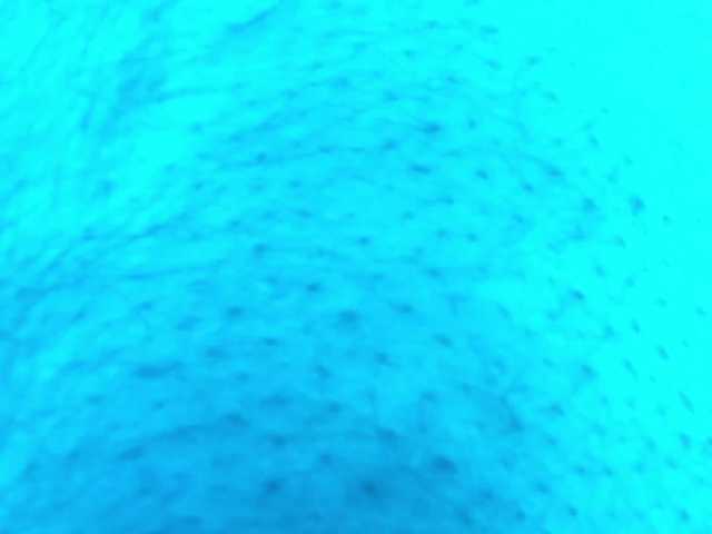 Toorrnne