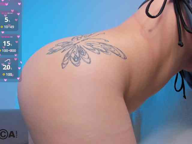 RoxyWi webcam