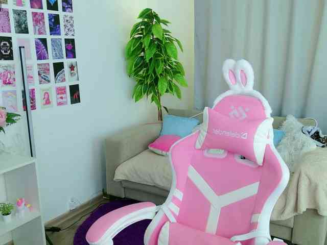 EvaRoss webcam