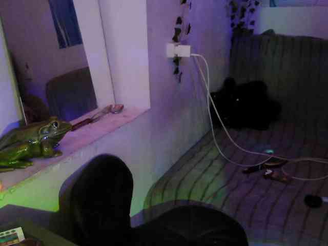 Mini0Melloo Mini0Melloo