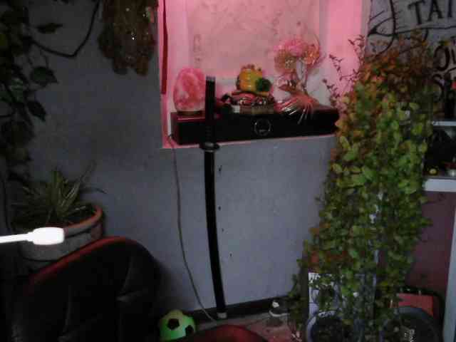 Mini0Melloo webcam