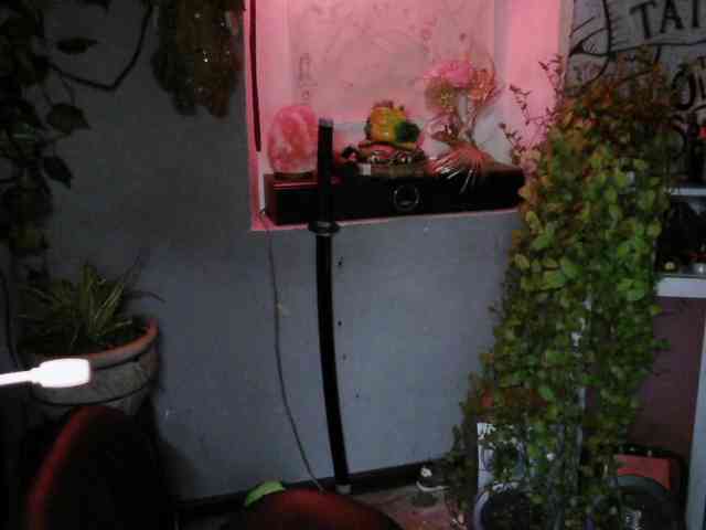 Mini0Melloo webcam