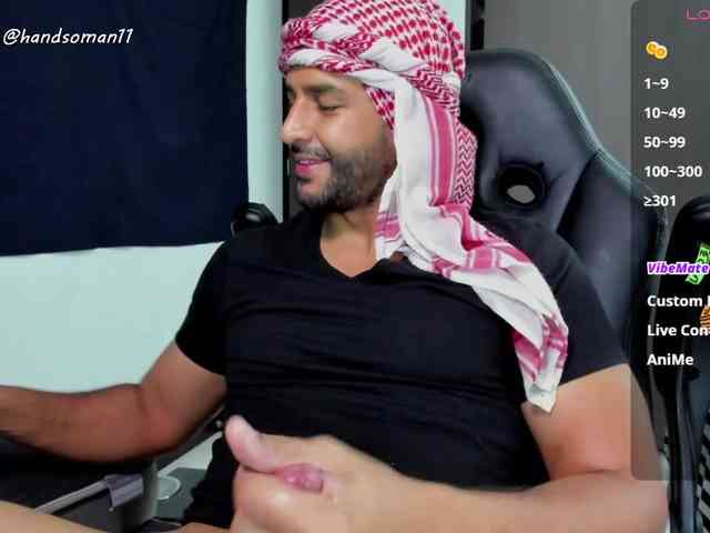 Handsoman11