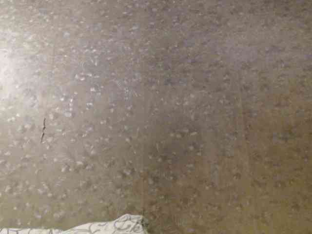 loveesafi webcam