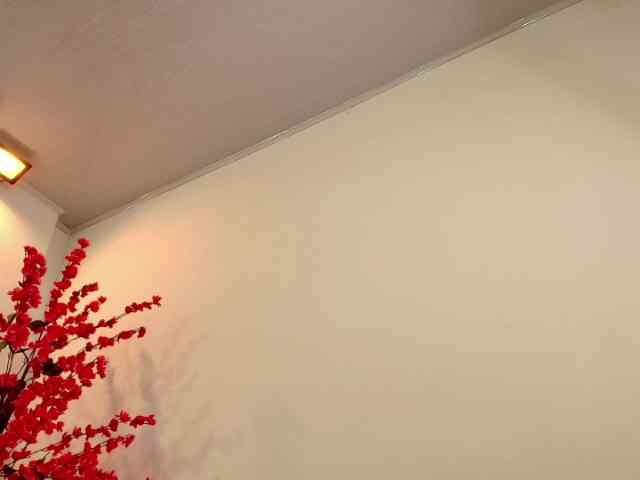 jenjen-purple webcam
