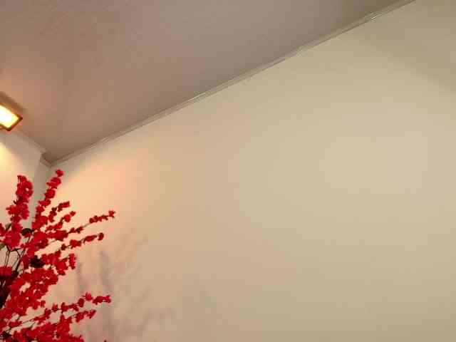 jenjen-purple webcam