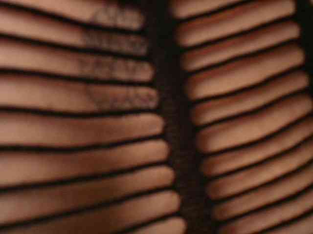 jenjen-purple webcam