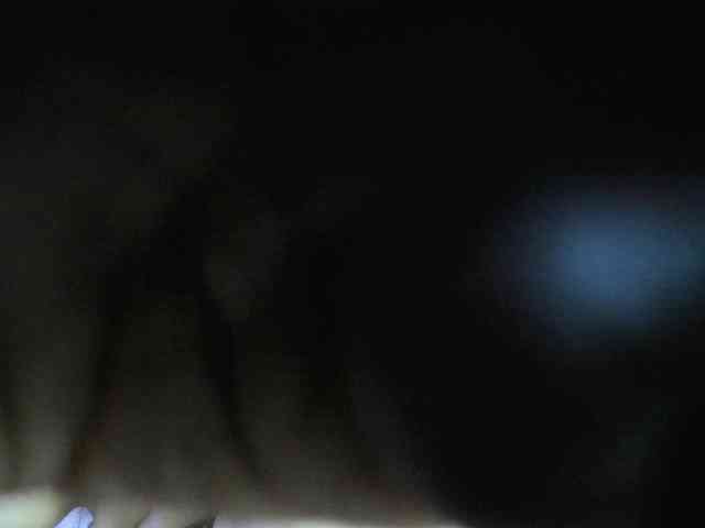 tamy-collins webcam