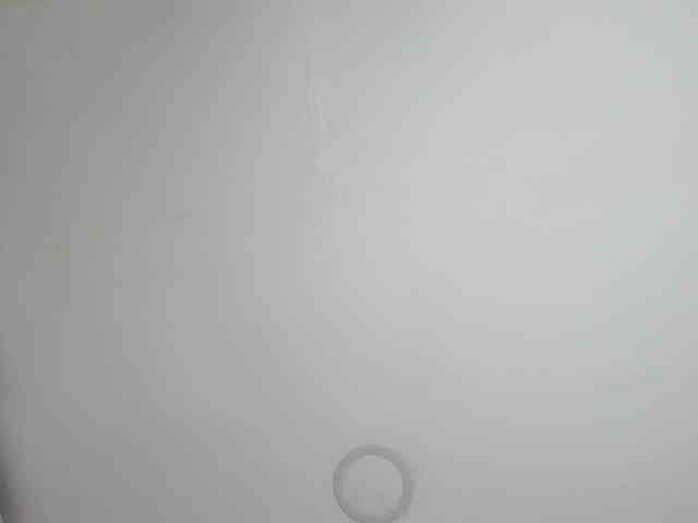 saritaloven Live Webcam on BongaCams
