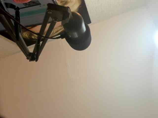 saritaloven Live Webcam on BongaCams