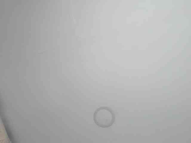 saritaloven Live Webcam on BongaCams