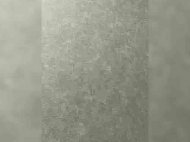 ANASTEIK webcam