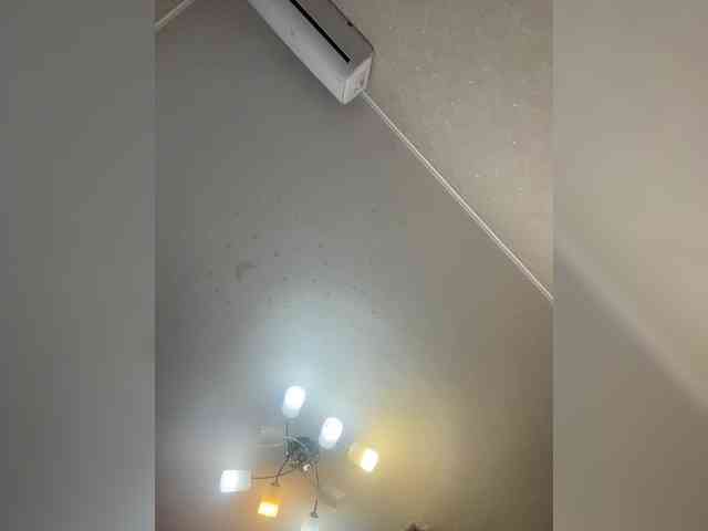 spy web cam ANASTEIK